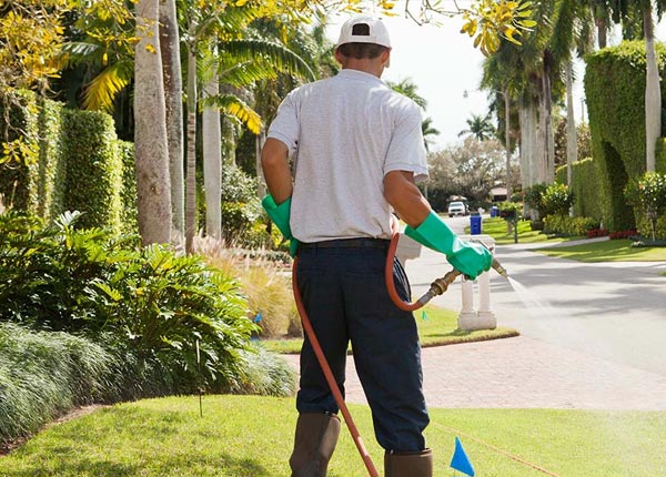 About Dale NY Pest Control